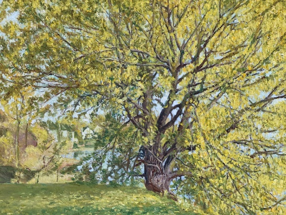 title_69e0a4e0b693817906117511776329952